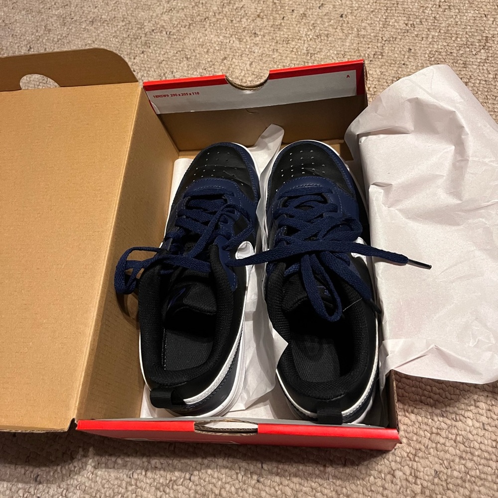 Nike Court Borough Low 2